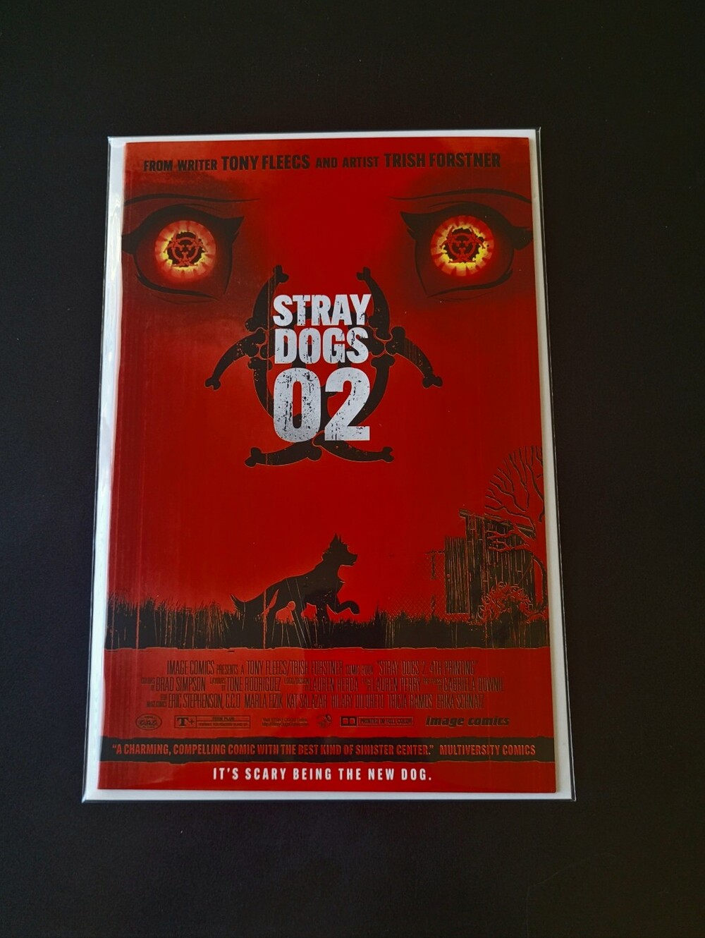 Stray Dogs #2